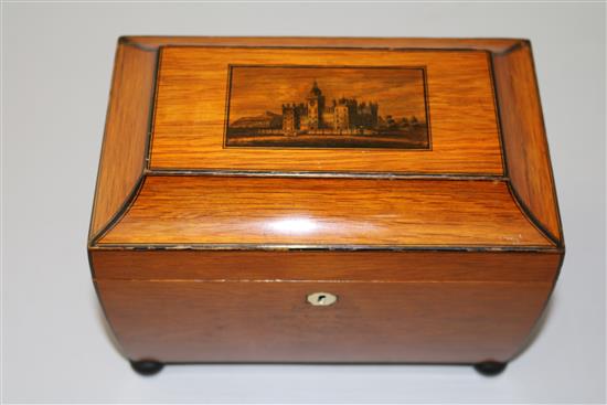 A William IV Mauchlineware penwork and sycamore tea caddy, c.1833,